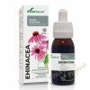 Ehinacea - biljni ekstrakt Soria Natural, 50 ml