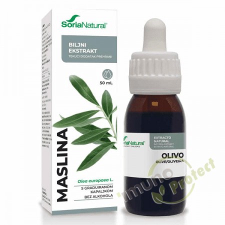 Maslina – biljni ekstrakt 50 ml