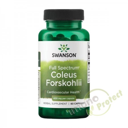 Coleus forskohlii (Forskolin) Swanson, 400 mg