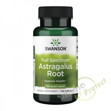 Astragalus korijen Swanson, 470 mg 100 kapsula