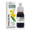 Maslačak – biljni ekstrakt Soria Natural, 50 ml Maslačak – biljni ekstrakt Soria Natural, 50 ml