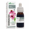 Ehinacea - biljni ekstrakt Soria Natural, 50 ml